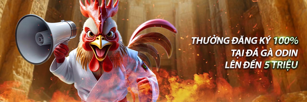 Tổng quan các điểm nổi bật của nền tảng shbet0