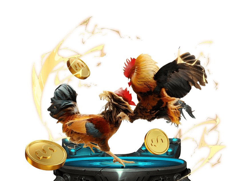 Hình ảnh hai chú gà chọi đang đá nhau trên sàn đấu, biểu tượng cho đá gà trực tuyến tại shbet0, với chất lượng phát sóng sắc nét.
