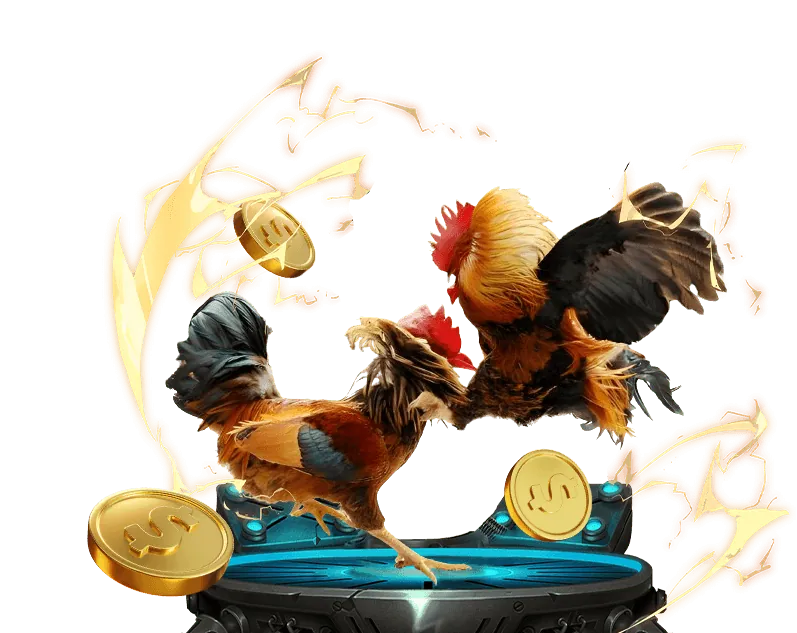 Hình ảnh hai chú gà chọi đang đá nhau trên sàn đấu, biểu tượng cho đá gà trực tuyến tại shbet0, với chất lượng phát sóng sắc nét.